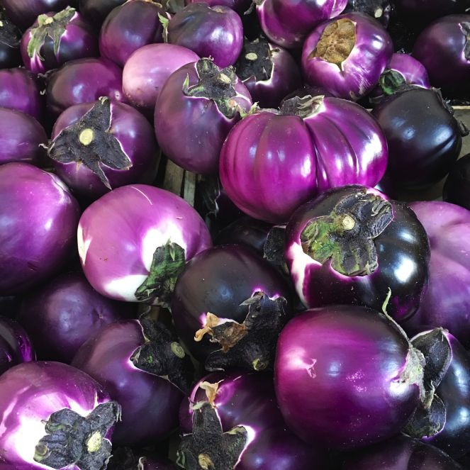 egg plant ideas for the summer