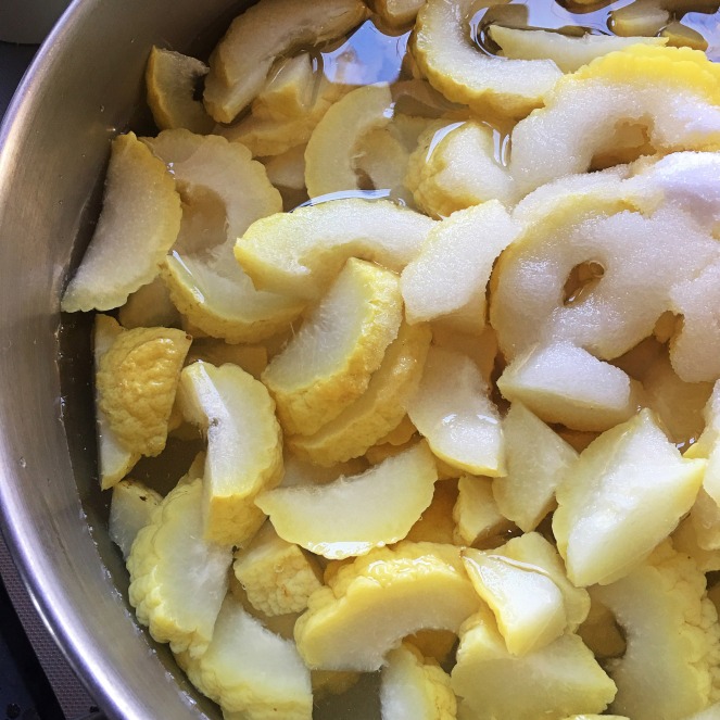 citrus peel cooked in syrup to candy